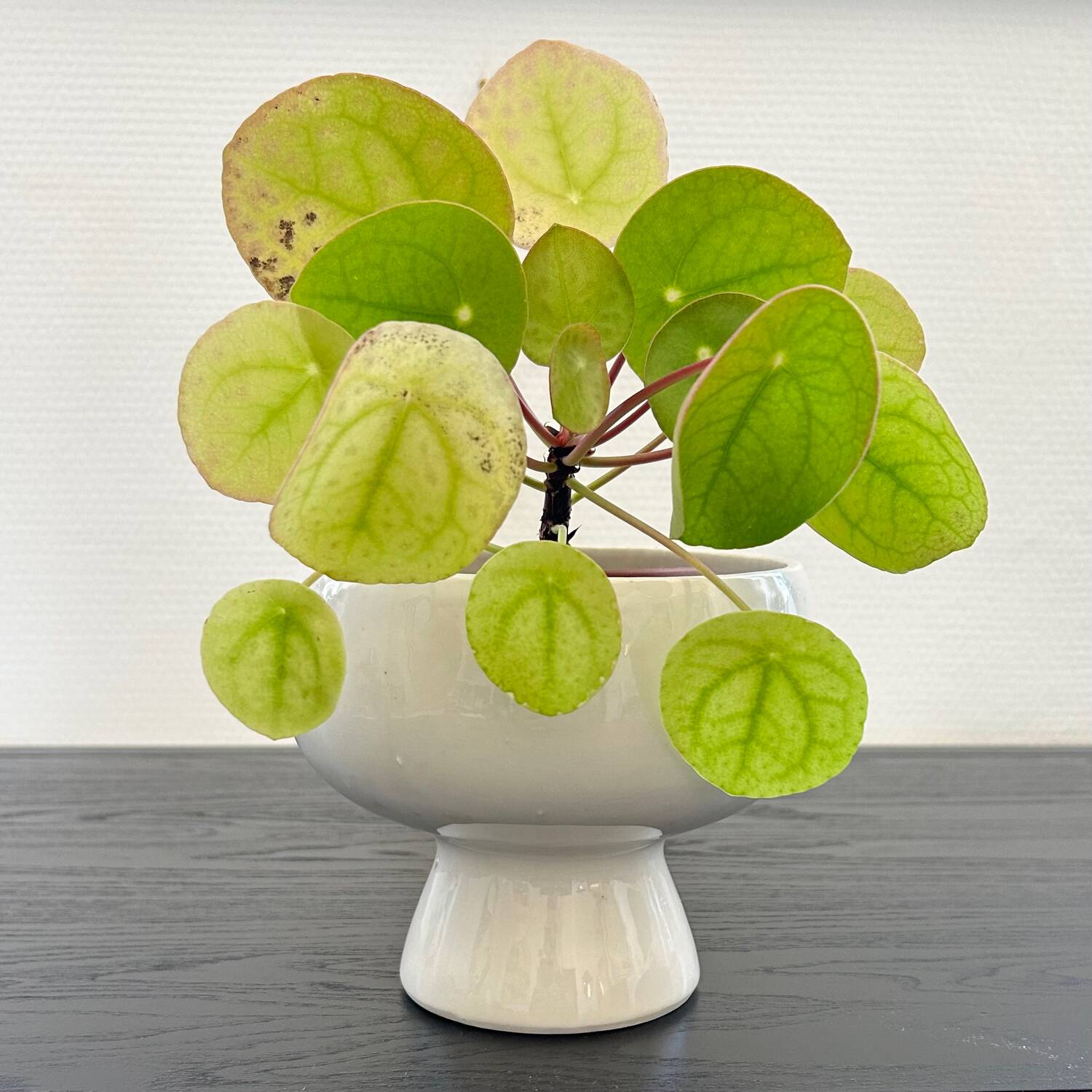 White Scandinavian plant pot