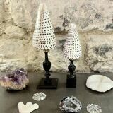 Cabinet of Curiosities: Conus shell on a blackened wooden base, 19th century