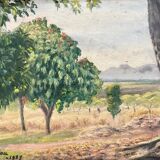 1920s french oil painting / panel. landscape. fields, trees and mountains