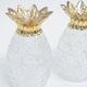 Glass pineapple salt & pepper shakers