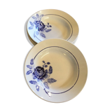 6 "Rosine" hollow plates