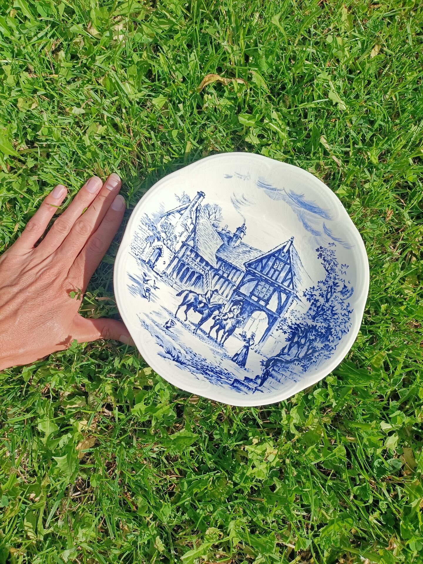 Plat ~ gien