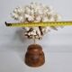 Antique natural white coral on turned wooden base, H25 cm