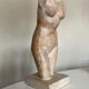Bust of Aphrodite in the bath after Praxitèle in terracotta 1984