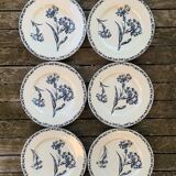 6 assiettes terre de fer