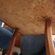 Table basse en loupe d'orme