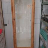 1950s medical display case