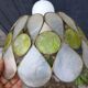 Mother-of-pearl lampshade suspension