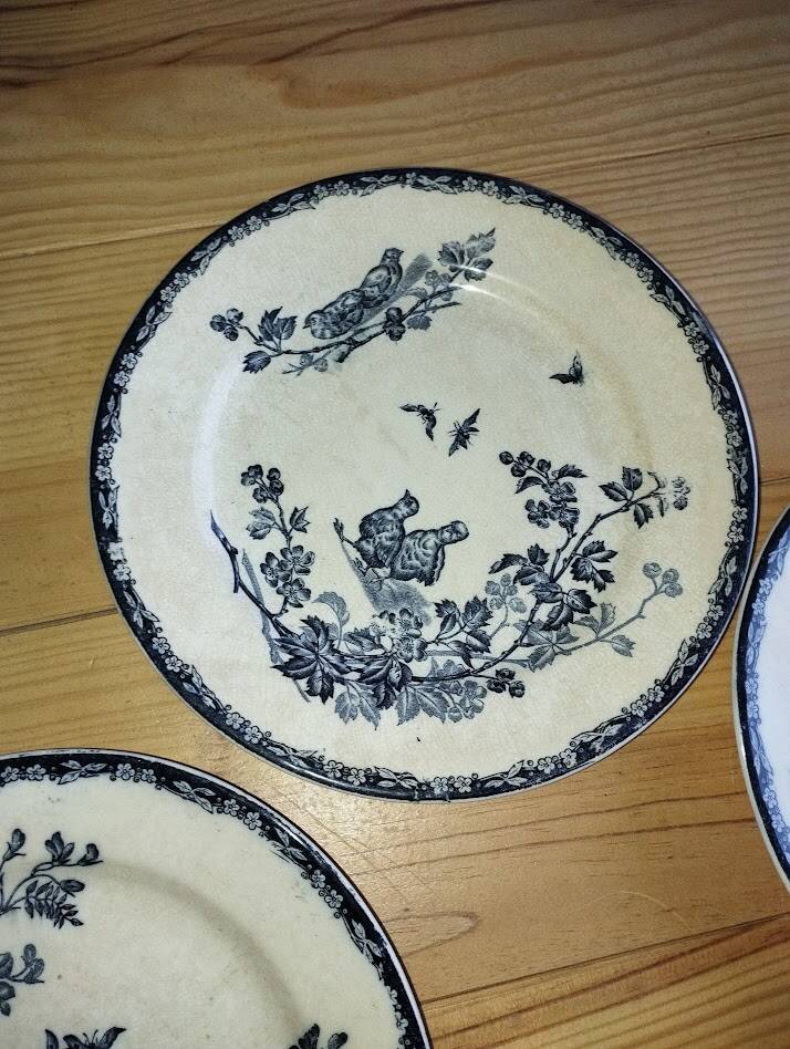 Flat Plates “Terre de Fer – The Chicks” (5 pieces)