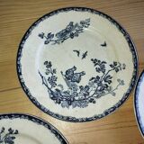 Flat Plates “Terre de Fer – The Chicks” (5 pieces)