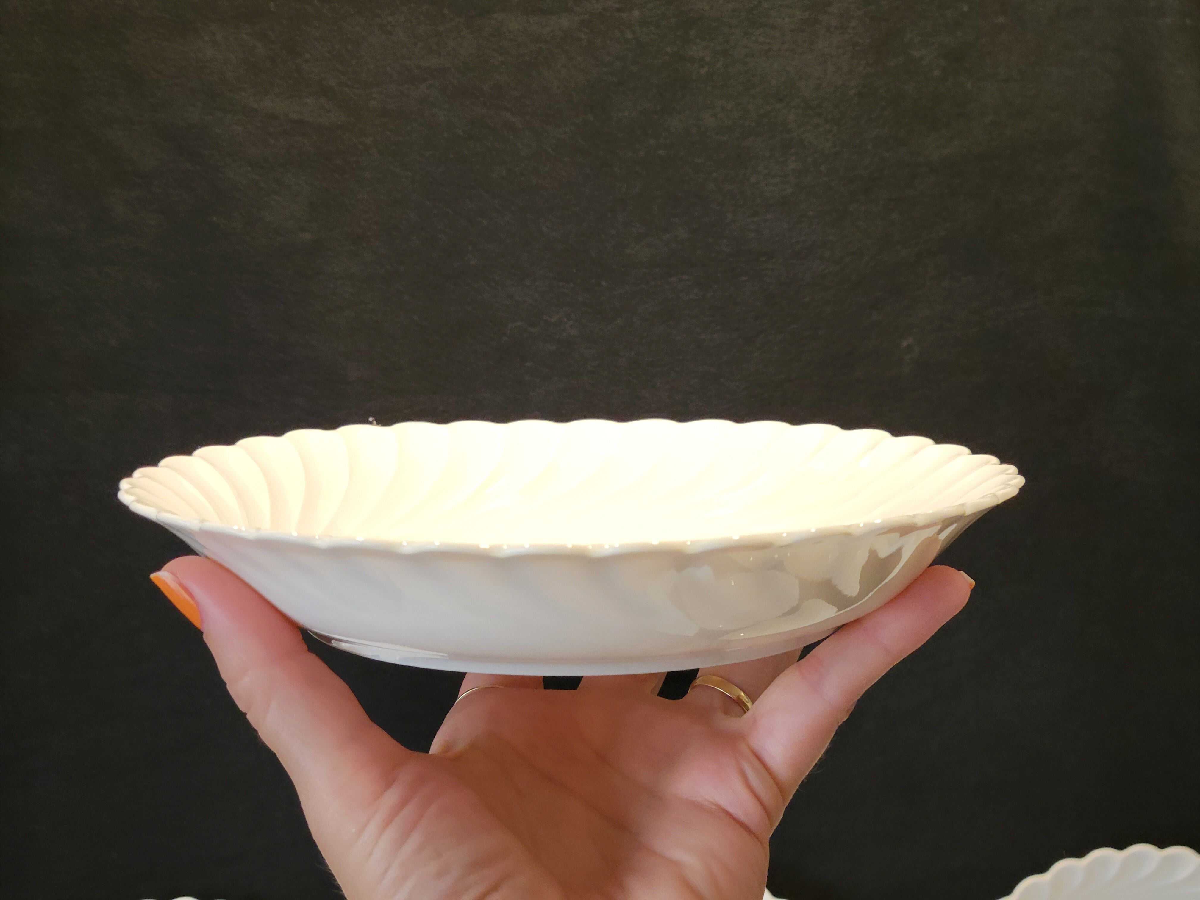 10 Haviland Torso Plates Diameter 19.5 Cm