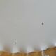 Suspension in pleated opaline