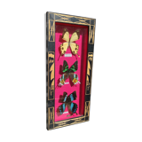 Vintage naturalized butterfly frame