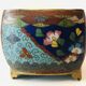 Enamelled cloisonné pot
