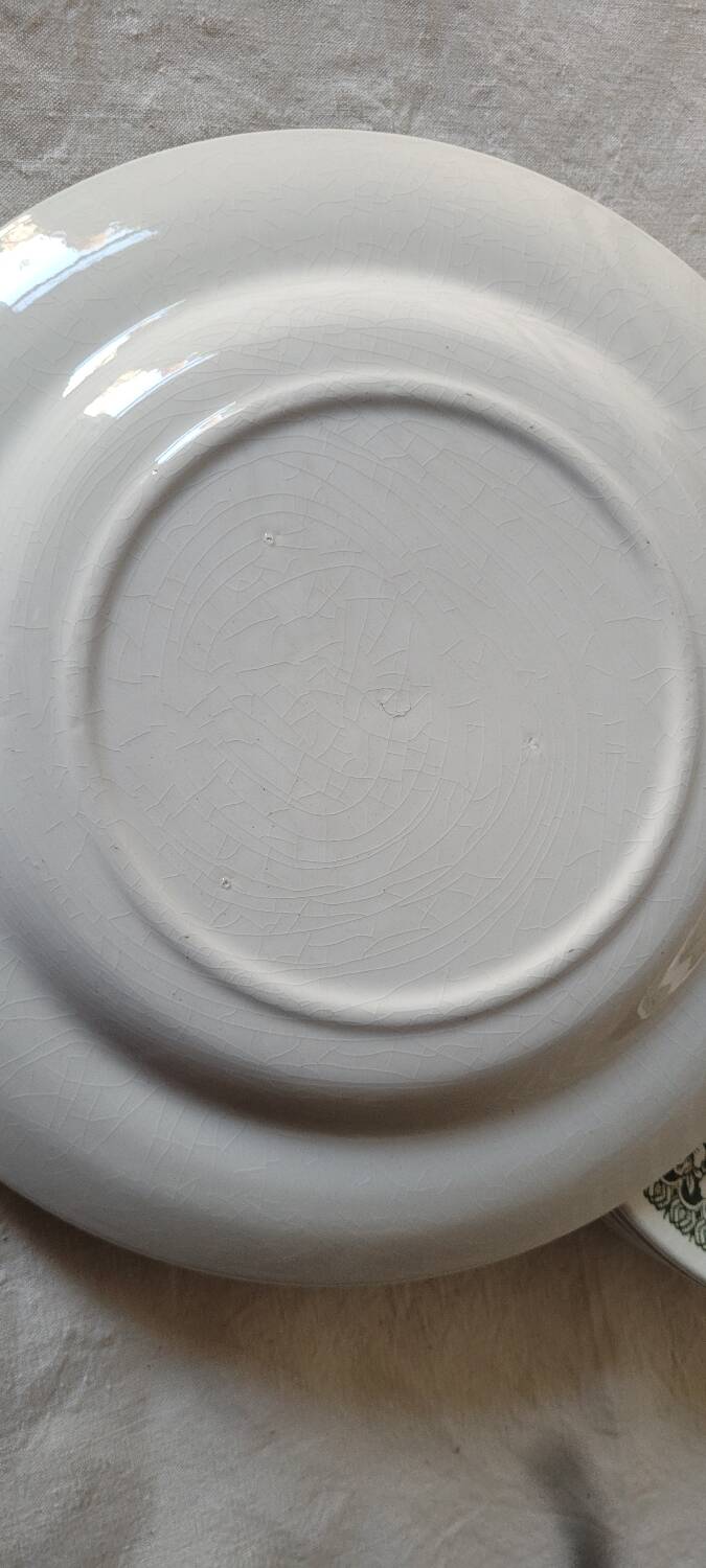 Pastoral decor earthenware dinner plates