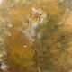 Paysage d’Yvonne Thivet (1888-1972)