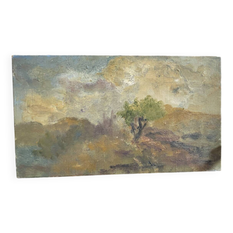 Huile sur toile sur châssis ancienne