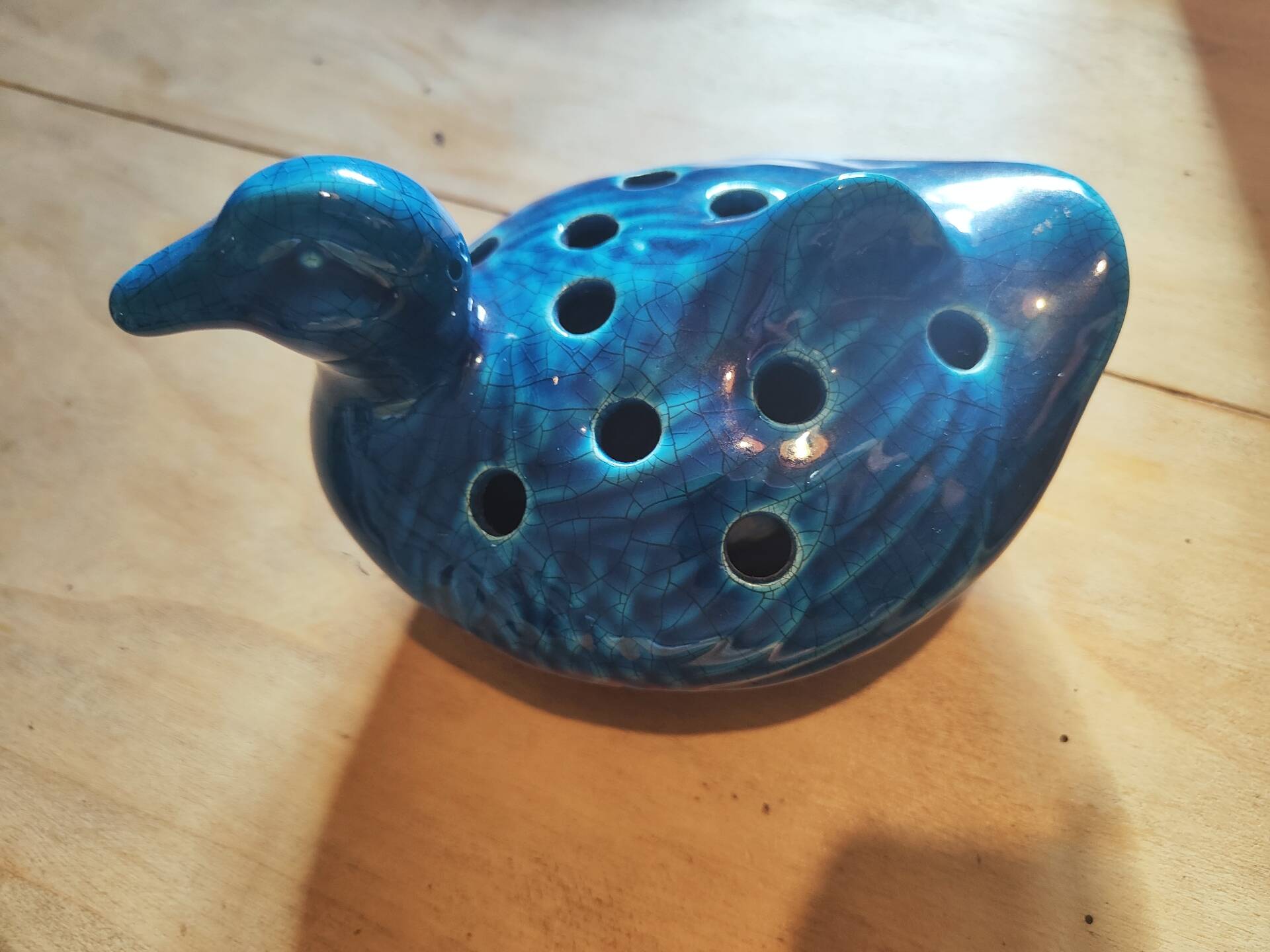 Duck pokes flower