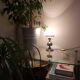 Small Art Deco opaline lamp, brass foot