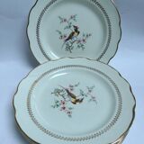Gien Tokio Tokyo dinner plates