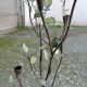 Candle holder, vintage metal chandelier