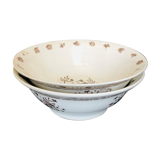 Pair of gien earthenware jattes