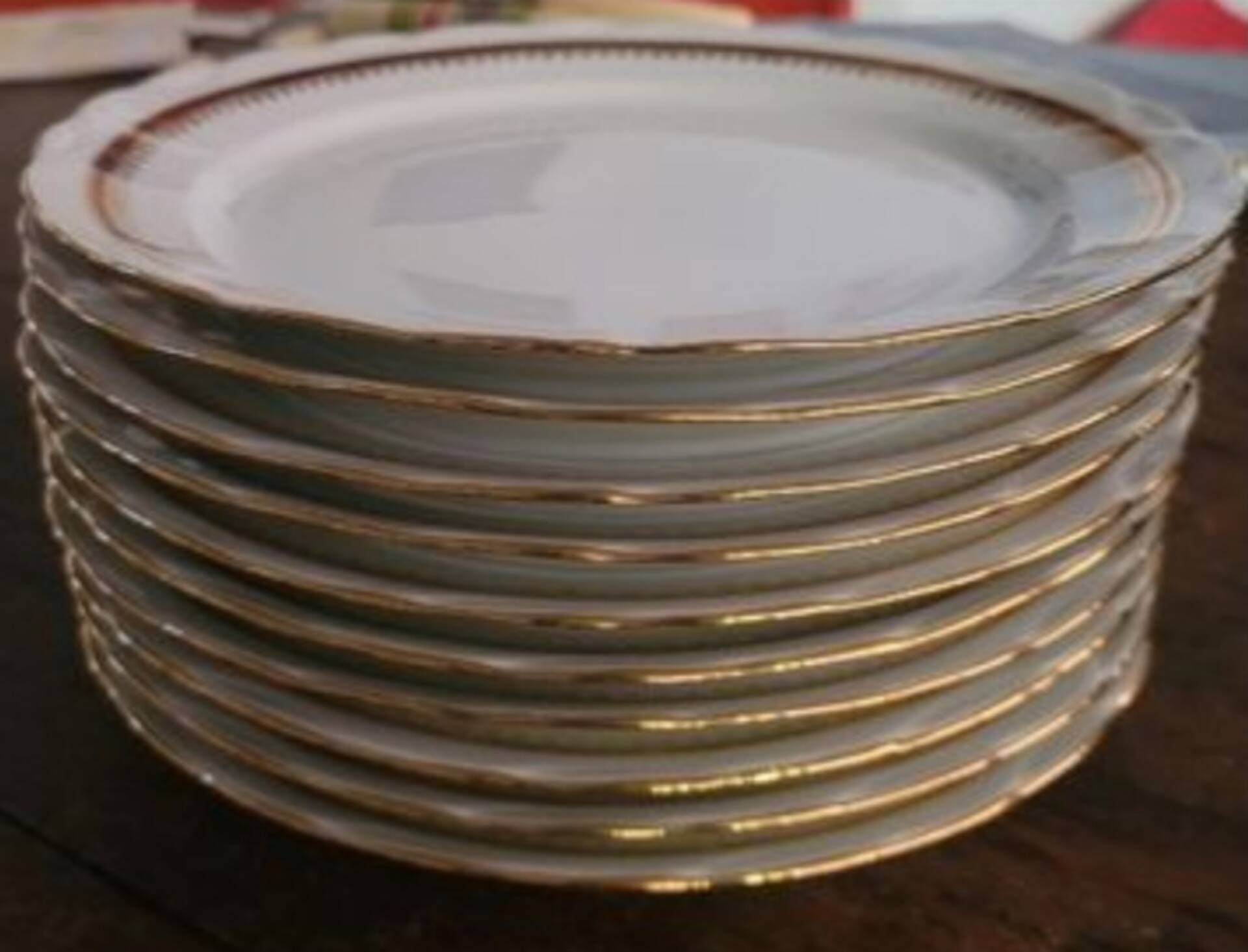 10 porcelain plates Masse & Surget - 1957