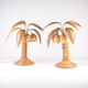 Rattan coconut lamp