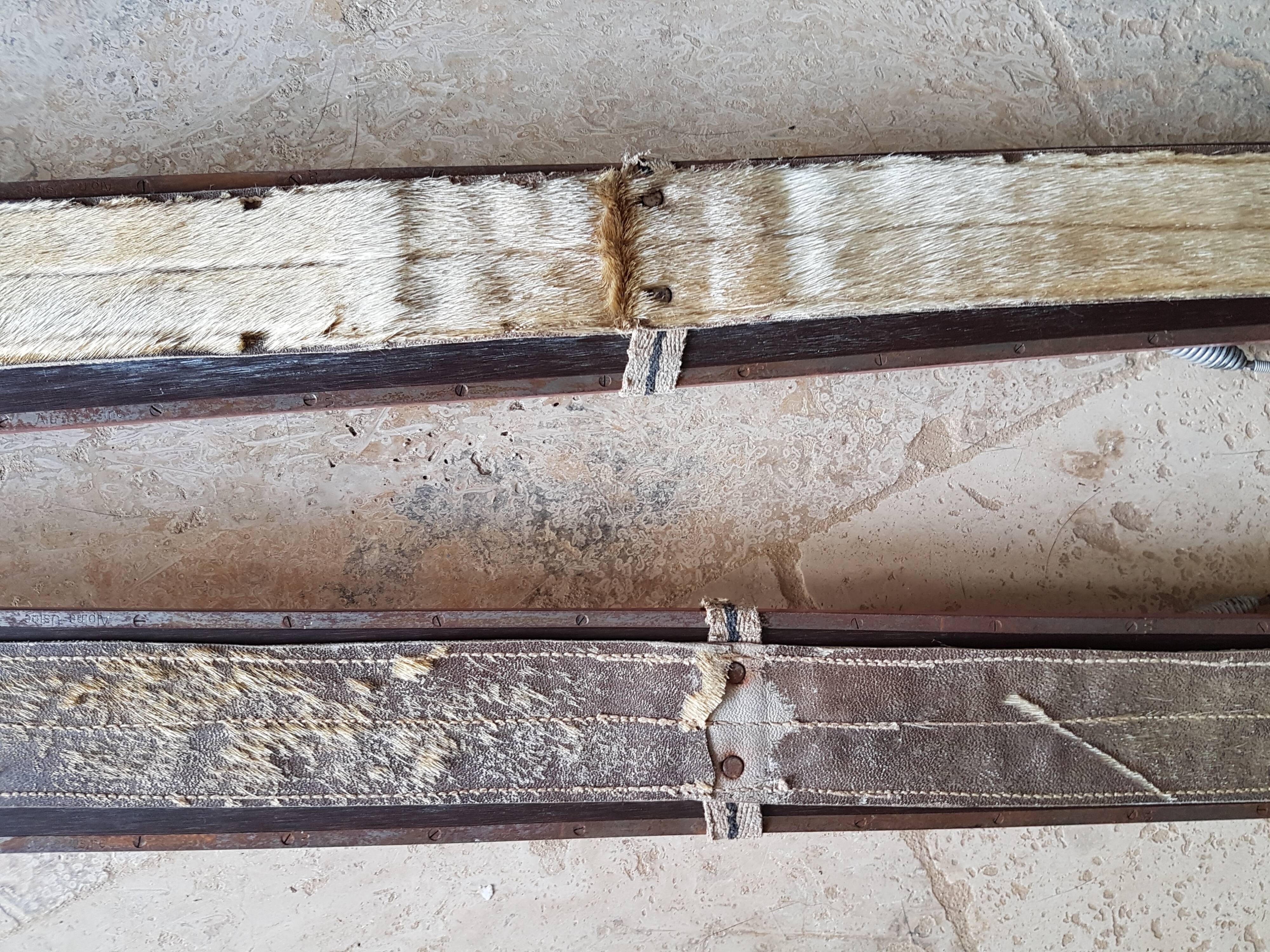 Nordic skiing in wood and skin former