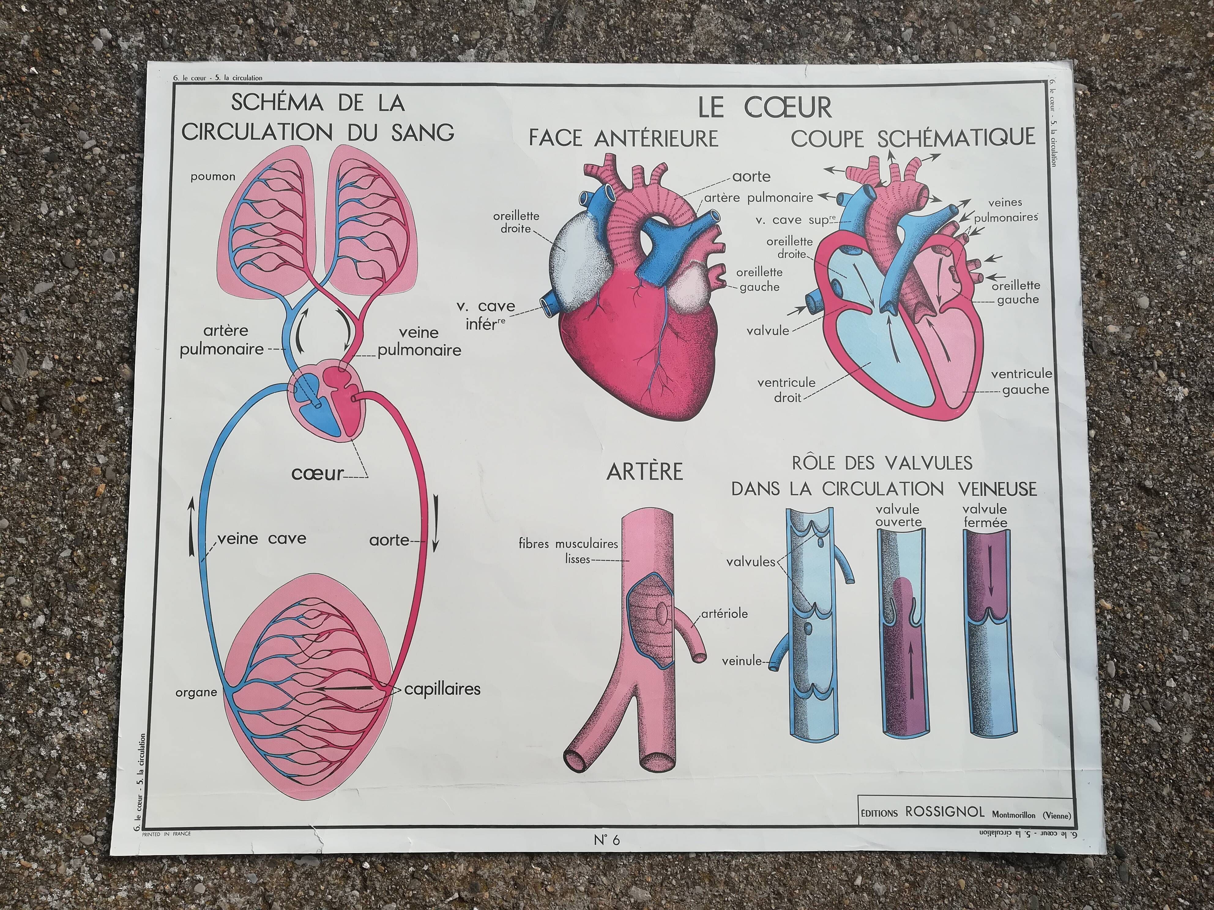 Rossignol school poster N°5 The heart N°6 Vintage traffic