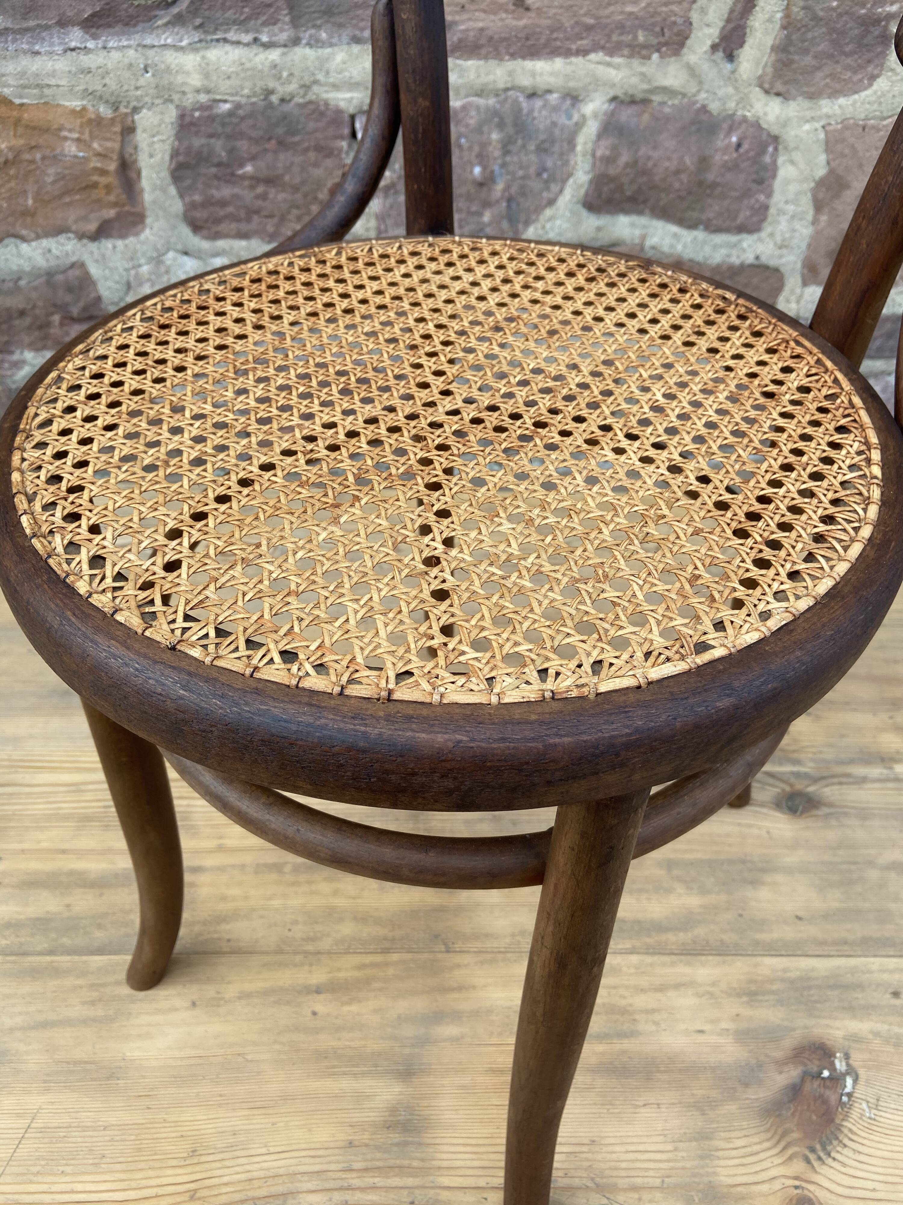 Bistro chair Nr 14 curved wood