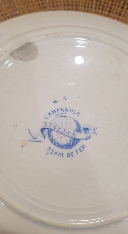 Plate in Iron Earth model Campanula