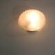 Vintage white opaline glass shell wall light – Ann wall lamp