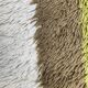 Bergoss wool rug 1970