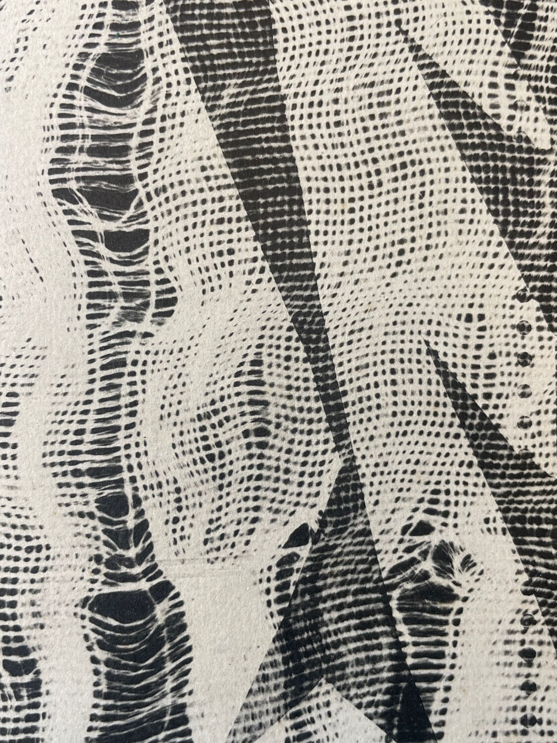 Pablo Picasso Jacqueline with cheesecloth phototype Villers 1962