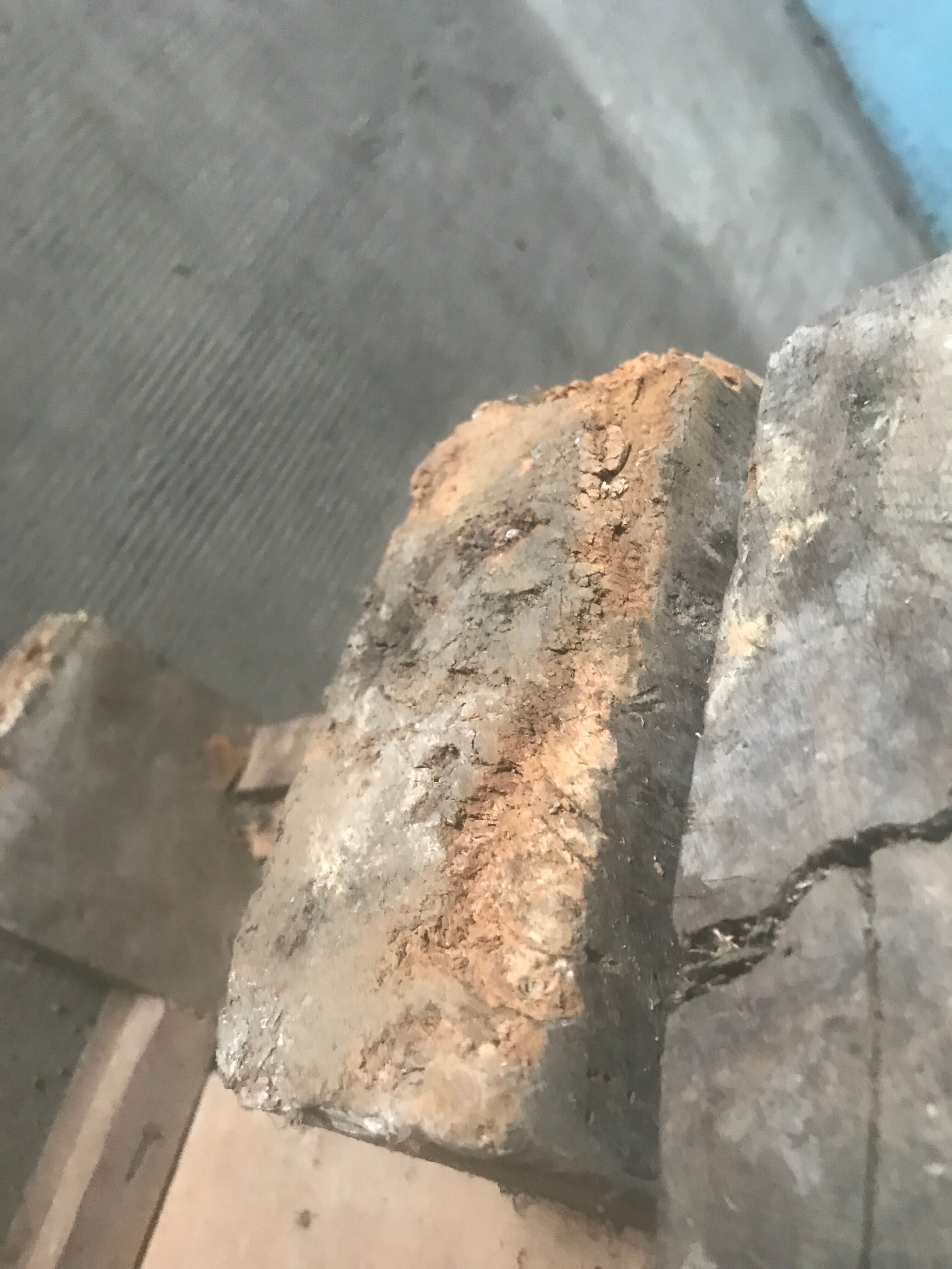 Carpenter's workbench 2m36