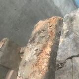 Carpenter's workbench 2m36