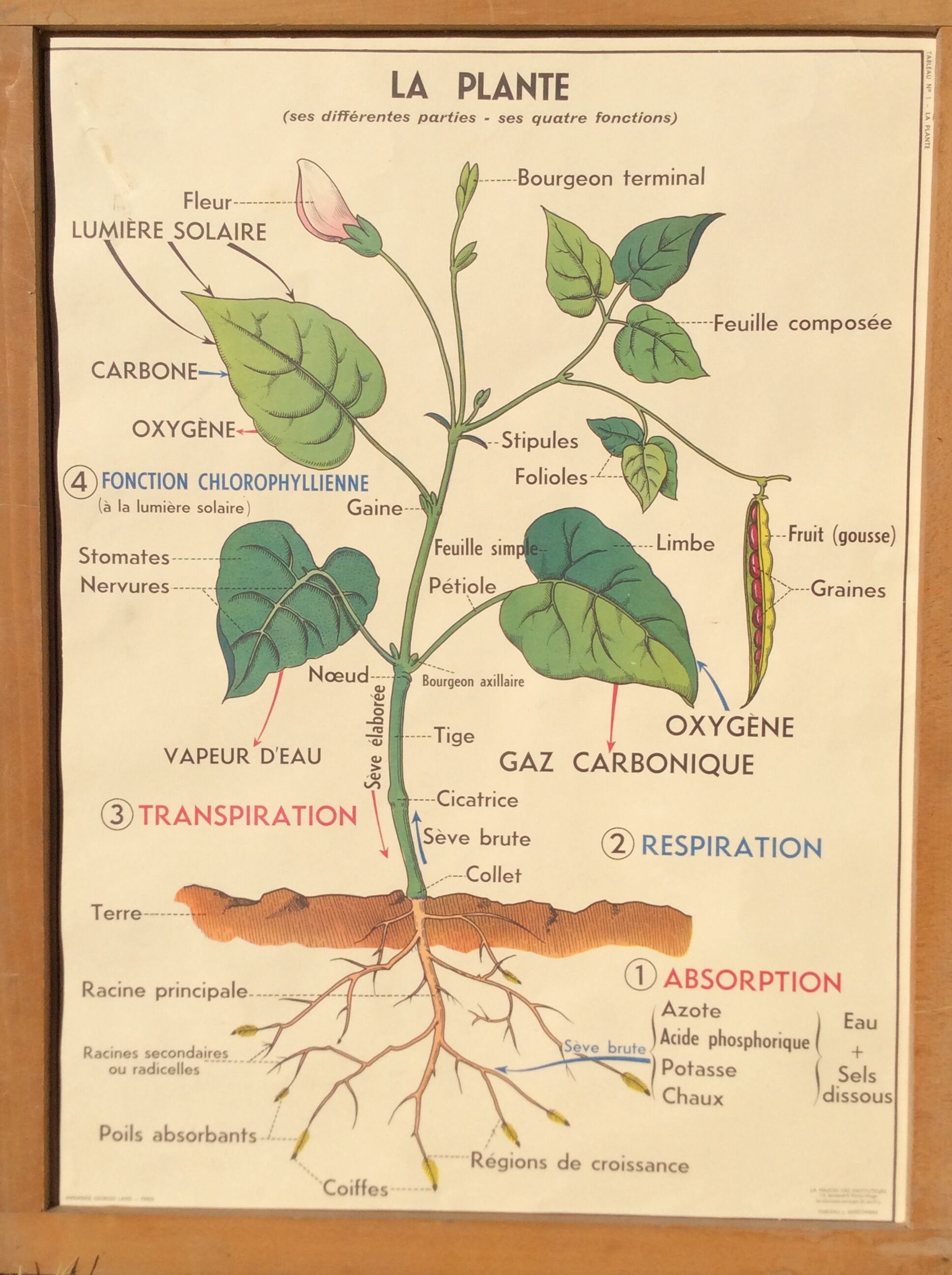 Affiche scolaire 1960 recto/verso