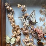 Vintage frame with butterflies and dried flowers