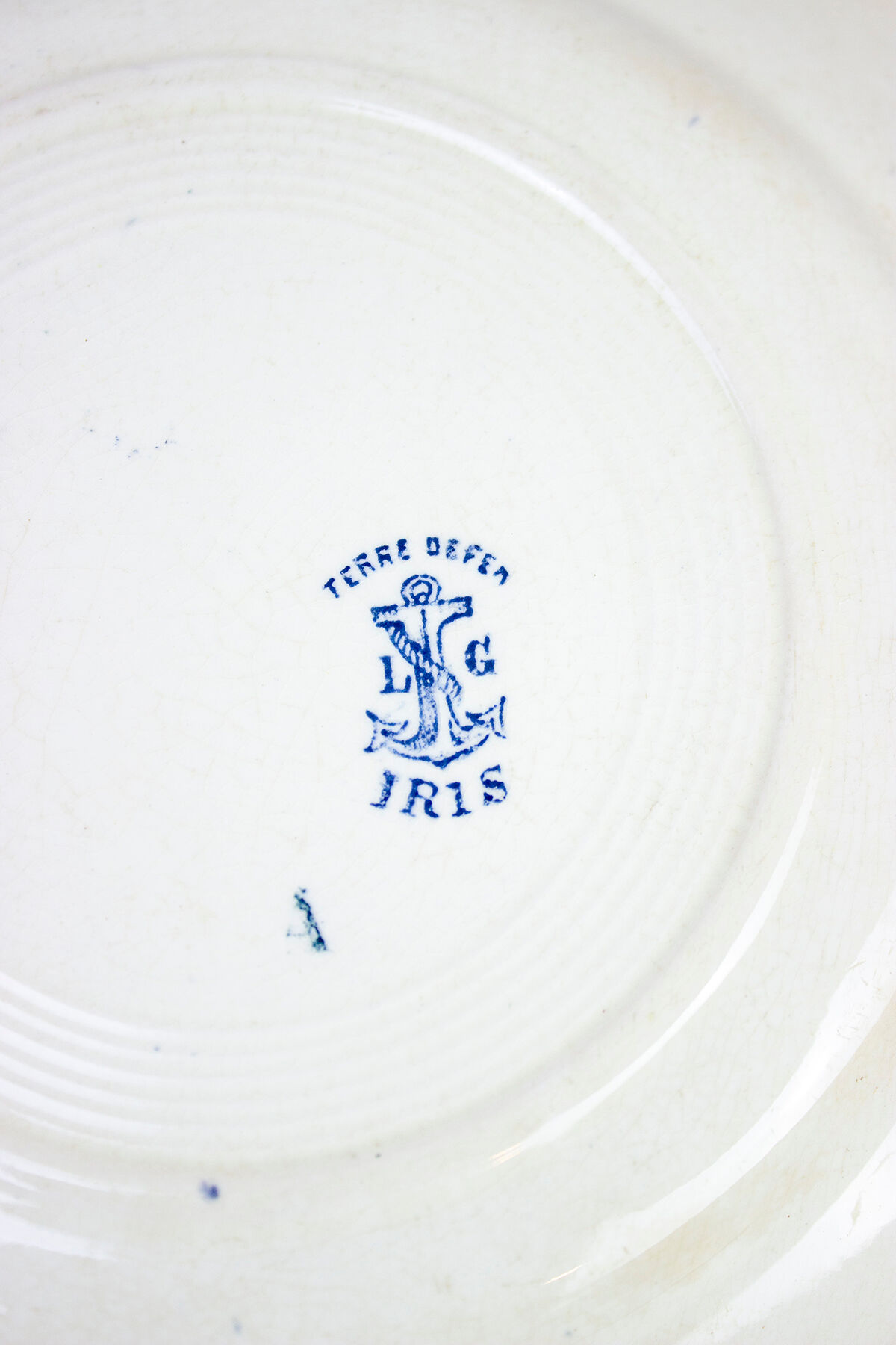 Lot de 8 assiettes plates terre de fer - modèles Iris - Léon Graves - Clairefontaine