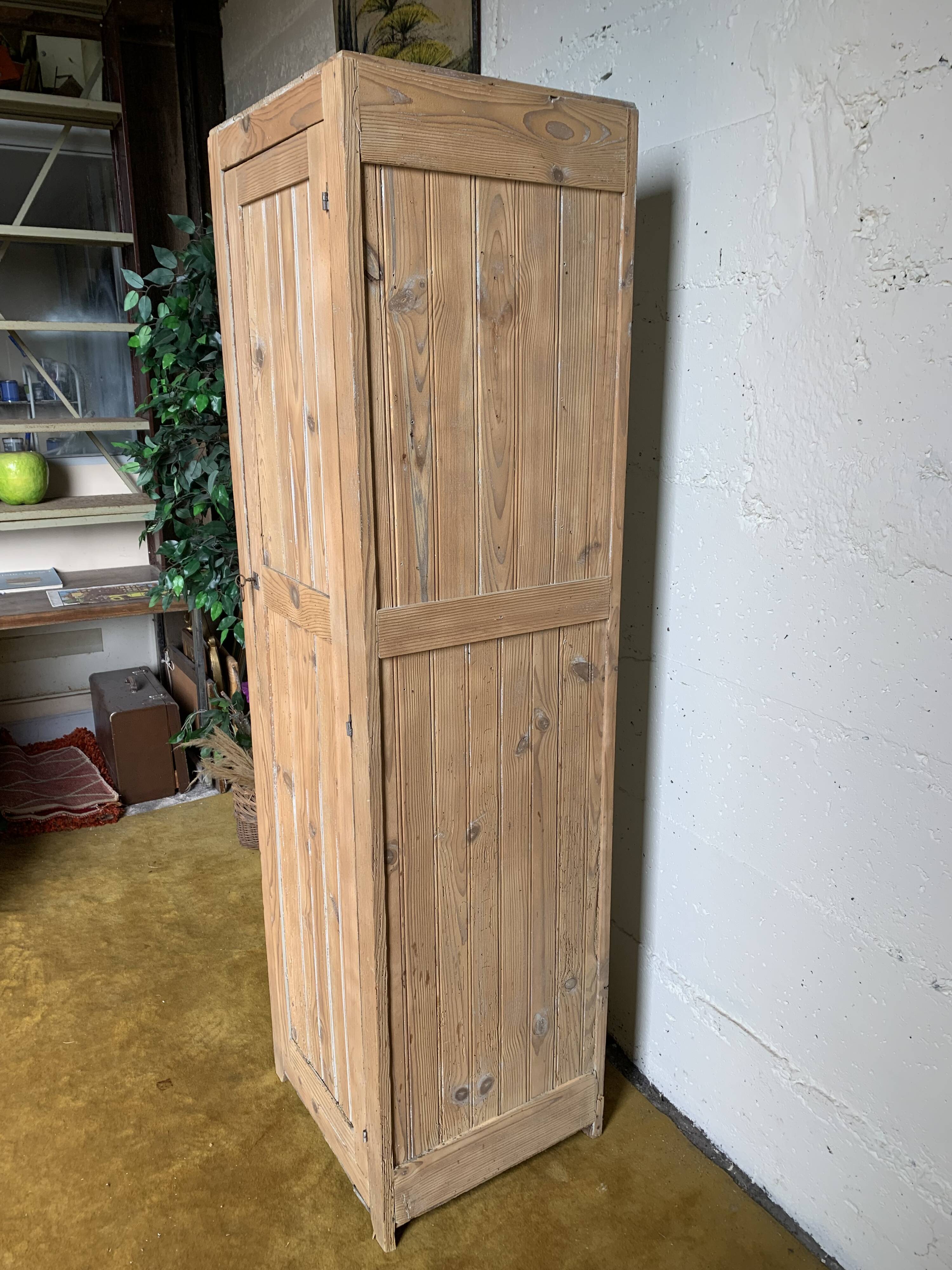 Wardrobe with 1 raw wood door
