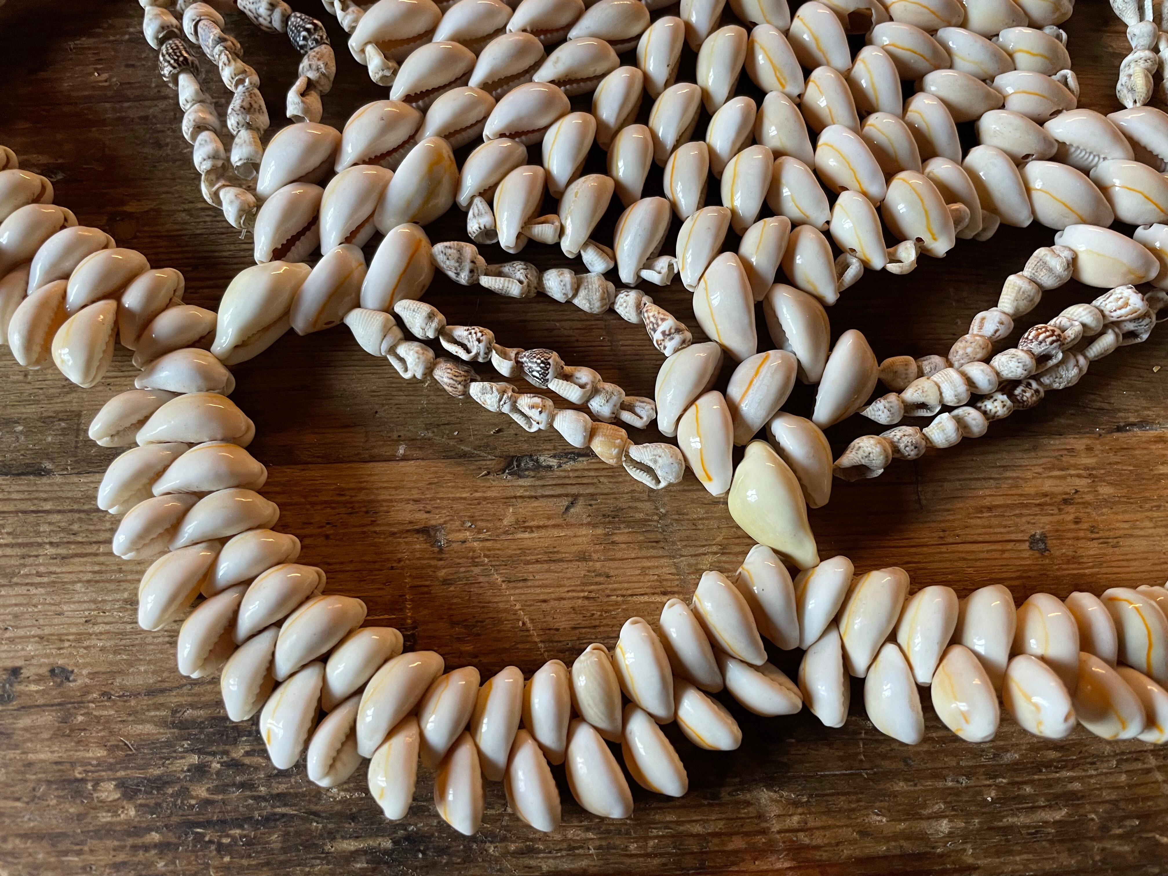 Vintage shell bottom