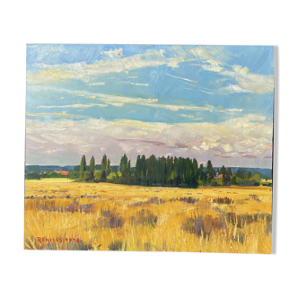 Peinture paysage de Tony Reniers