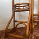 Rattan plant stand screen