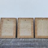 3 old engravings of horses / triptych riders golden frame