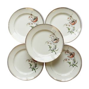 5 assiettes semi creuses