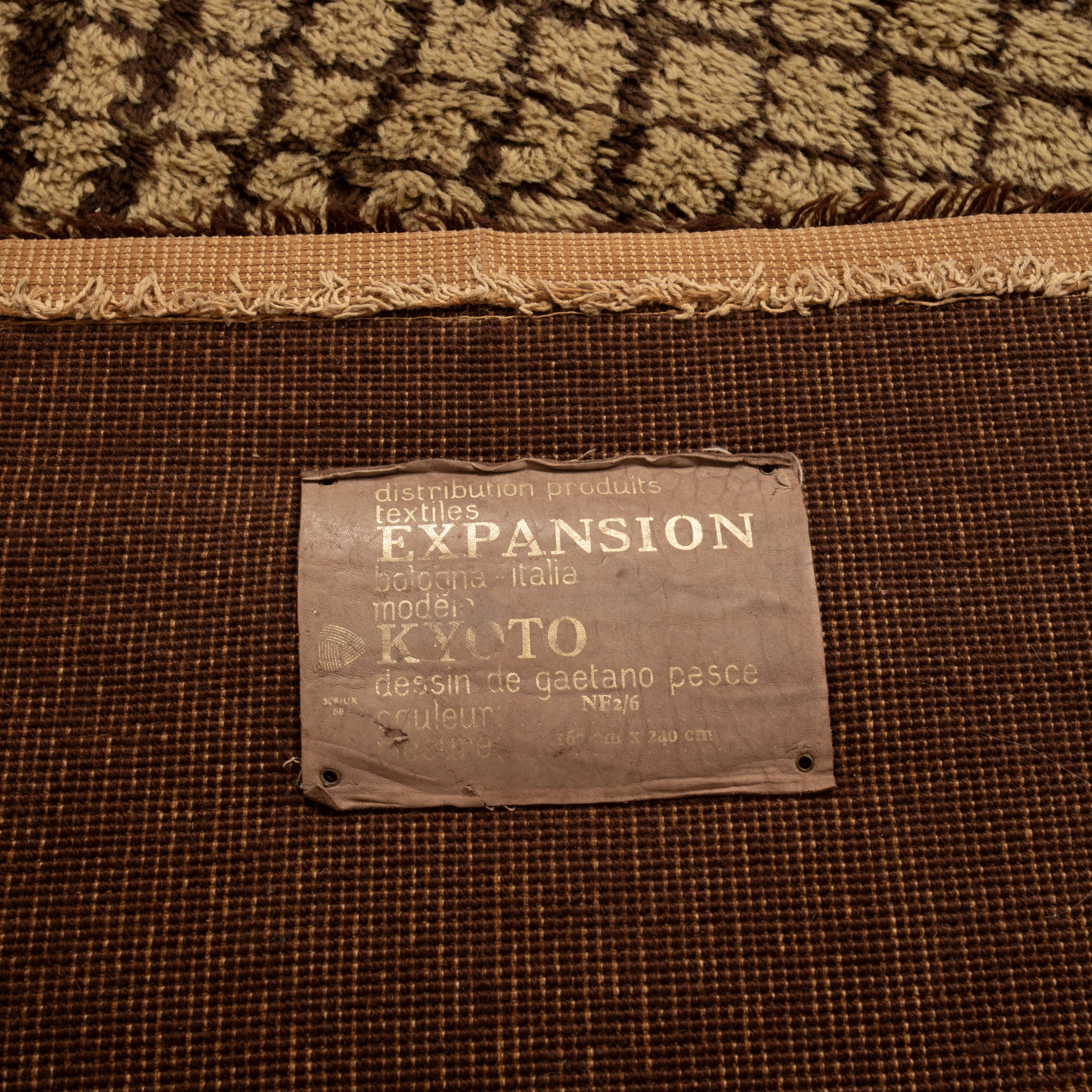 Rare Kyoto Rug by Gaetano Pesce for Expansion, 1969