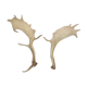 Pair of suede wood europe