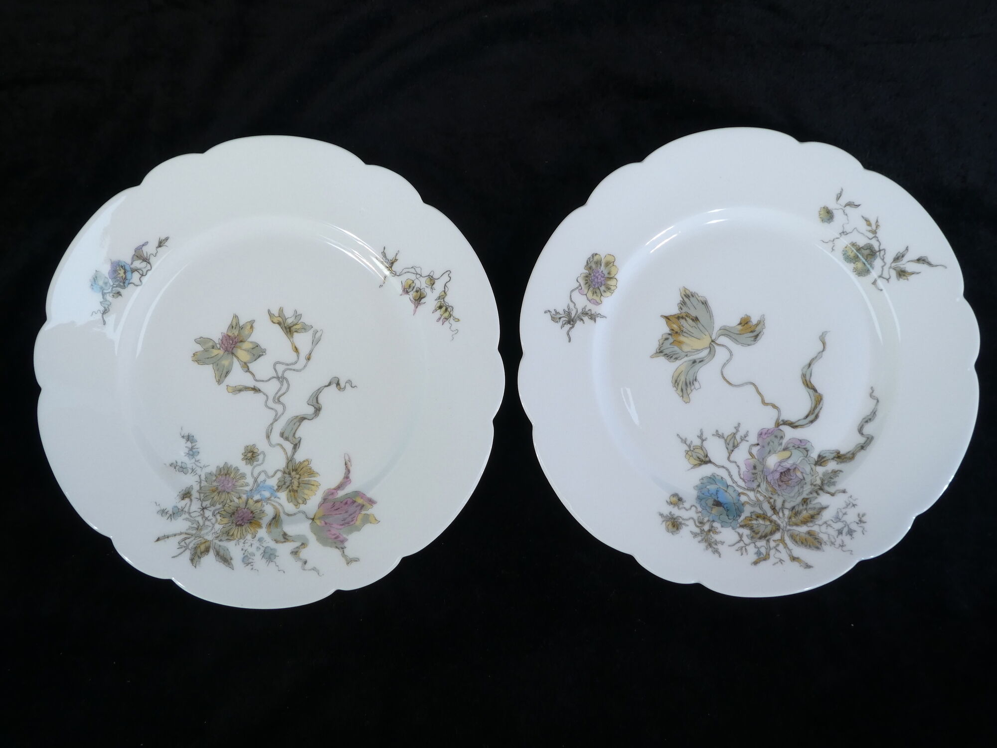 12 Limoges porcelain dinner plates for E.Bourgeois Paris