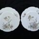 12 Limoges porcelain dinner plates for E.Bourgeois Paris